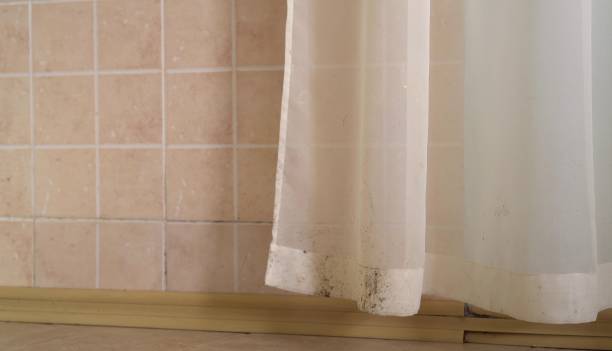 Best Mold Removal for HVAC Installations  in Lookout Mountain, AL