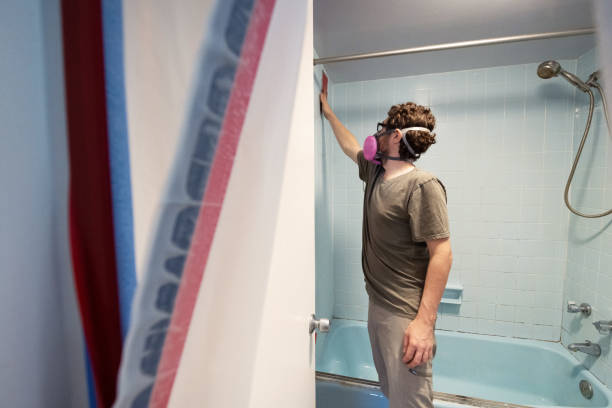 Best Commercial Mold Inspection  in Lookout Mountain, AL